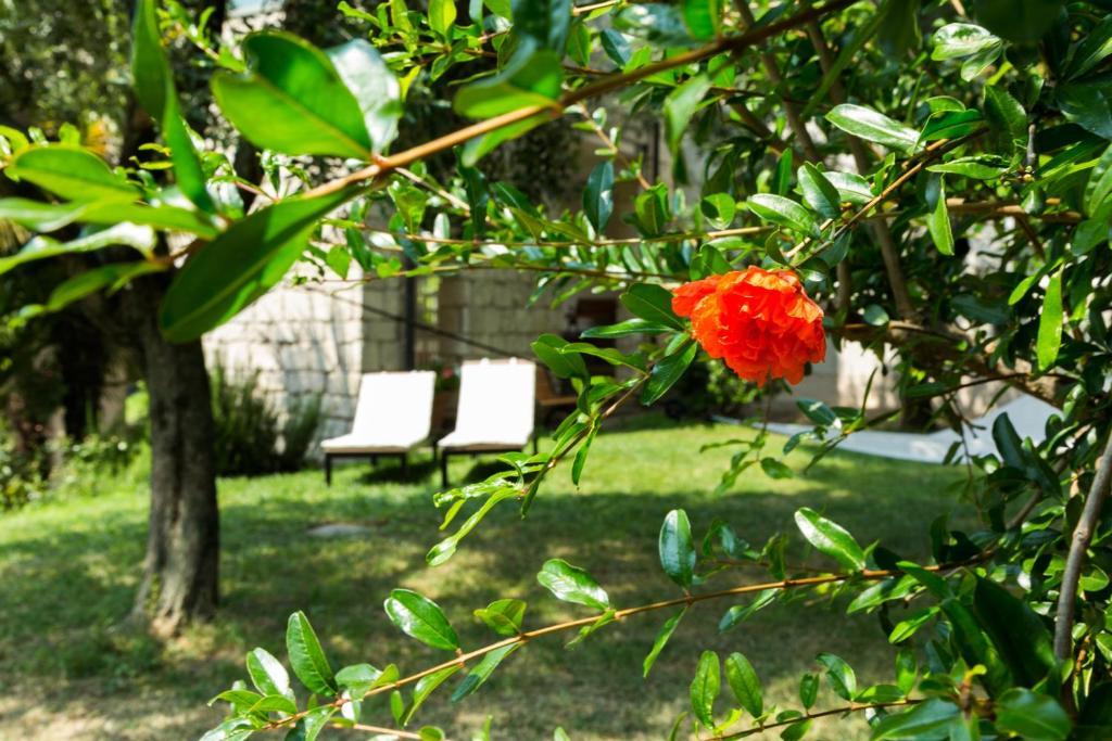 Apartamento House La Gemma Riva del Garda